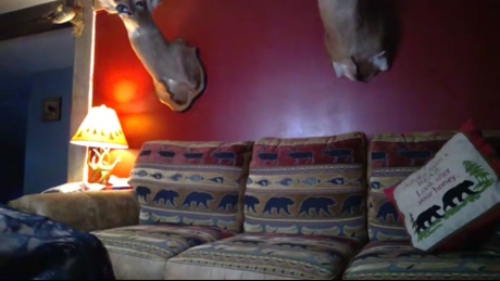 thicwhtcock  14-02-2022